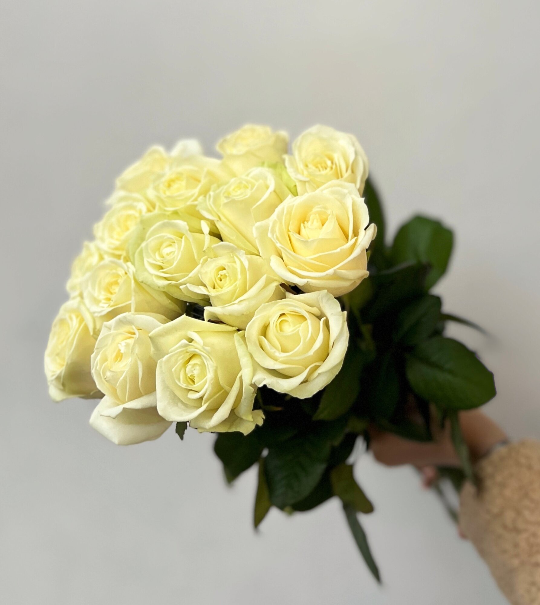 Букет из 15 белых роз 50 см