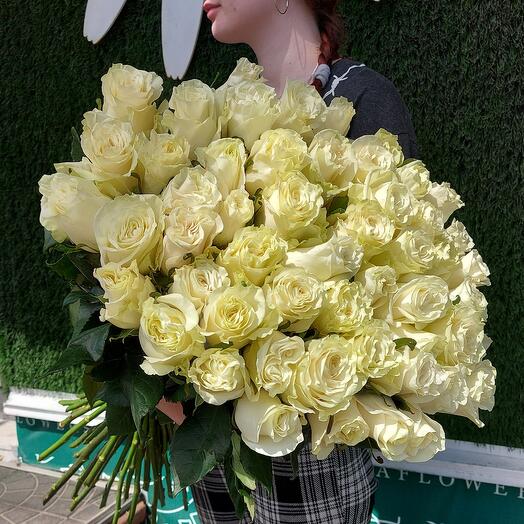 51роза