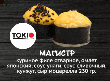 Магистр