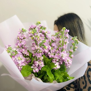 Букет "Ароматная Маттиола"