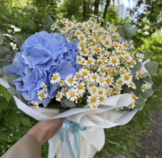 Ромашки и небо