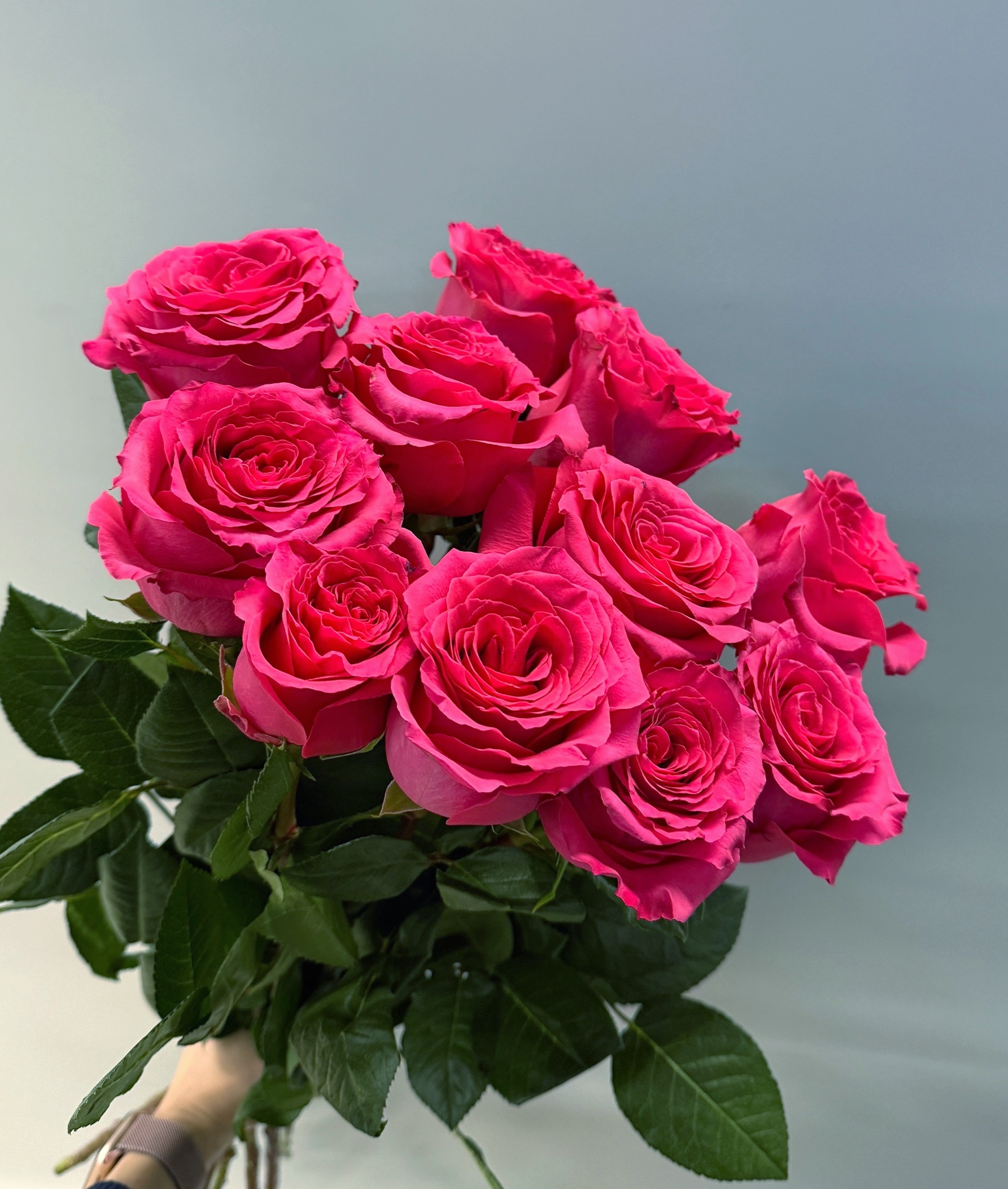 11 малиновых роз