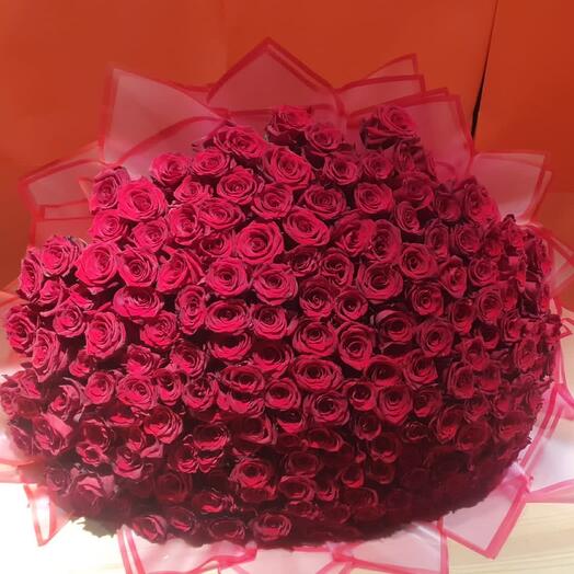 Розы бархатные 251