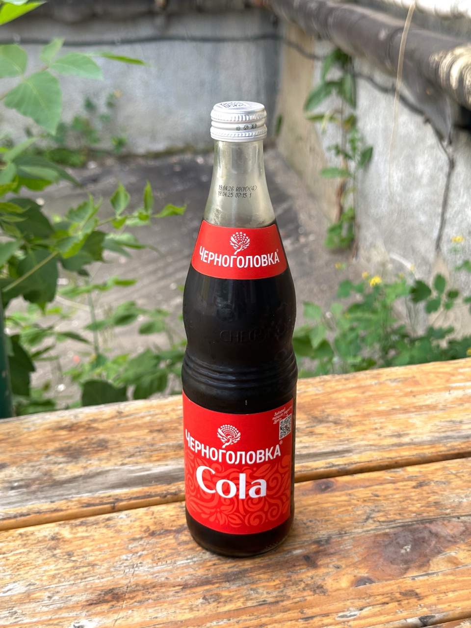 Черноголовка Кола