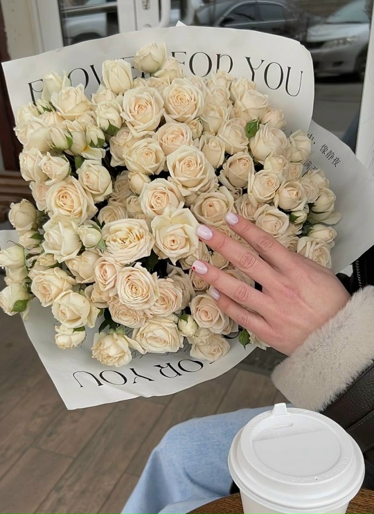 Роза кустовая