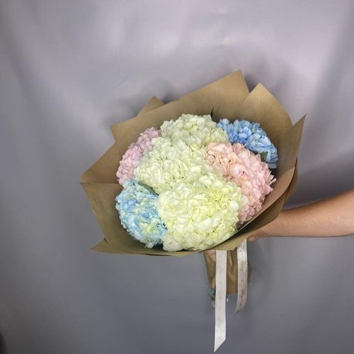 Цветоное облако гортензий