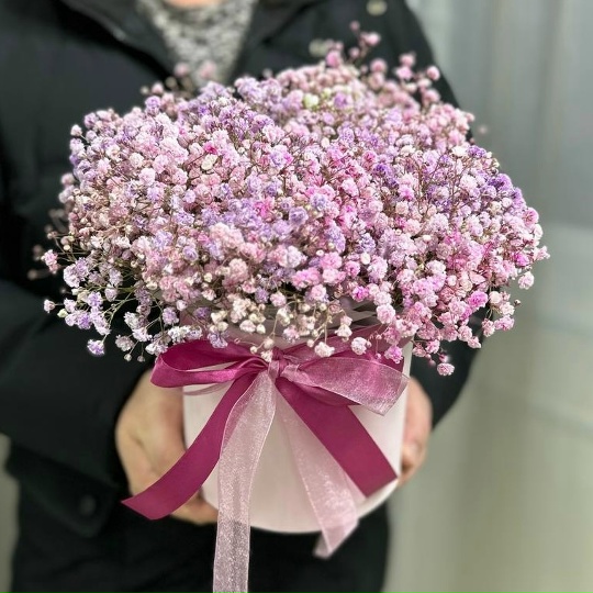 Коробка с гипсофилой