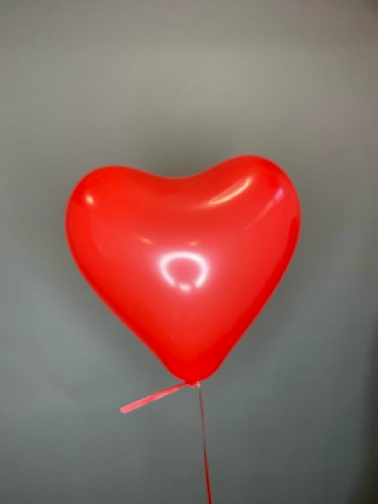 Шарик сердце