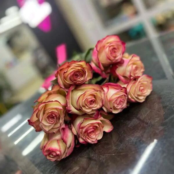 Букет из 9 кремовых роз с розовой каймой на атласной ленте