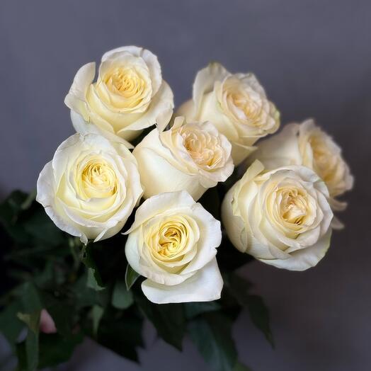 Роза Кэндилайт 7шт