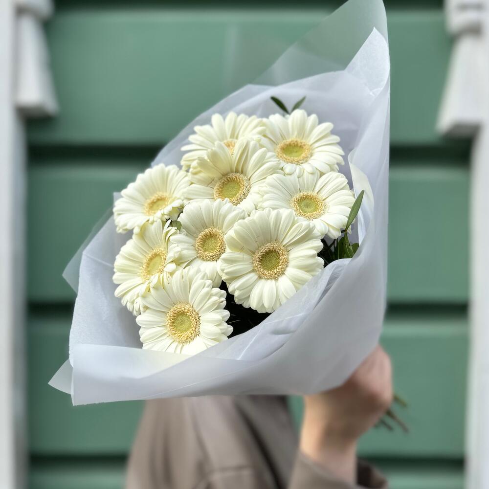 Букет гербера мини белая 9 шт (моно 092/2)