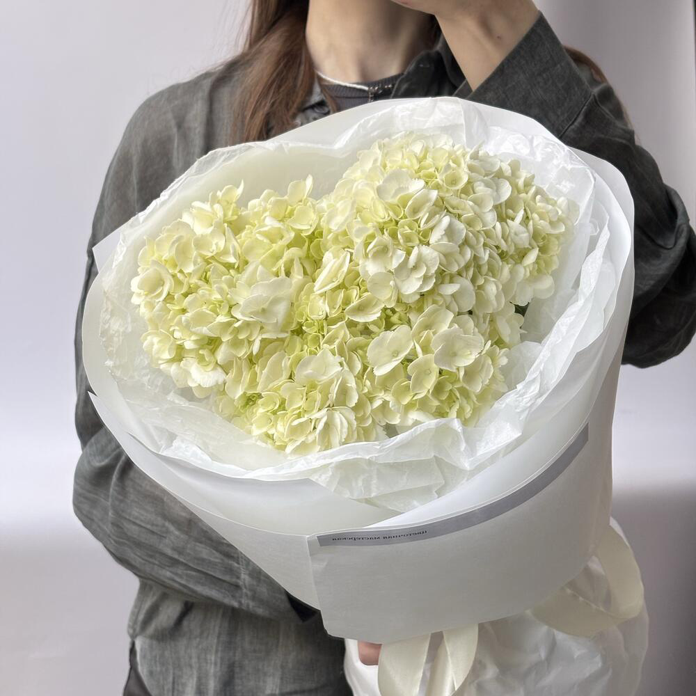 Белые гортензии