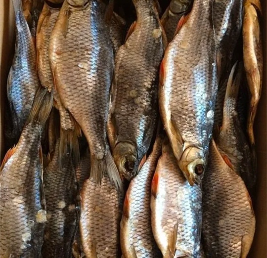 Плотва вяленая