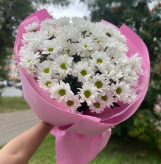 Моно хризантем