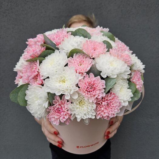 Нежные хризантемы в коробке