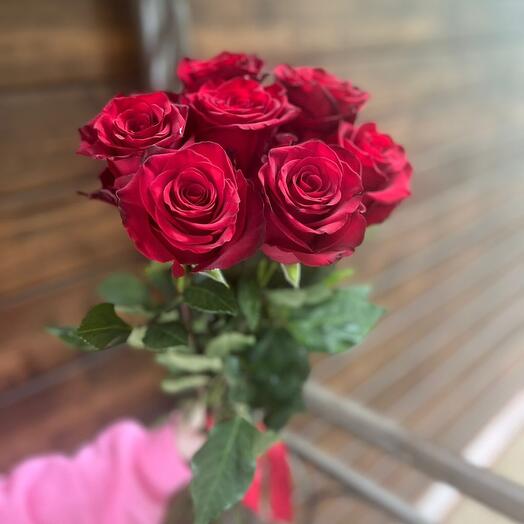 7 роз бордо