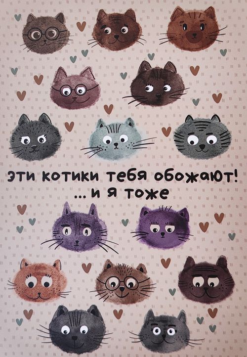 Открытка «Котики»