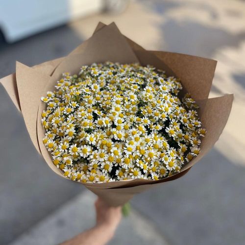 25 кустовых ромашек в крафтовой упаковке