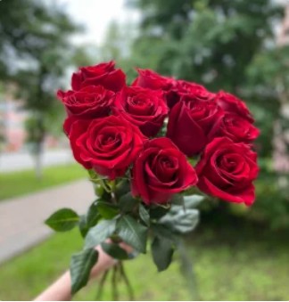 Букет из 11 алых роз