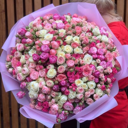 Премиум кустовая роза пионовидная