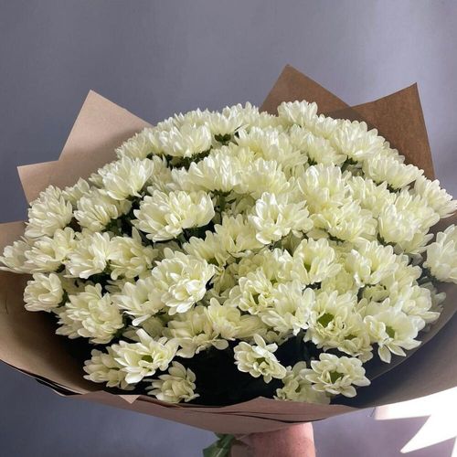 25 кустовых хризантем