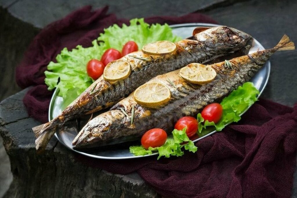 Рыба скумбрия