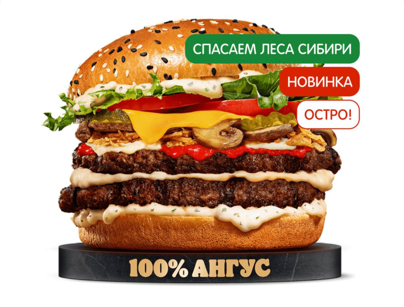 Острый Ангус Сибирский Двойной