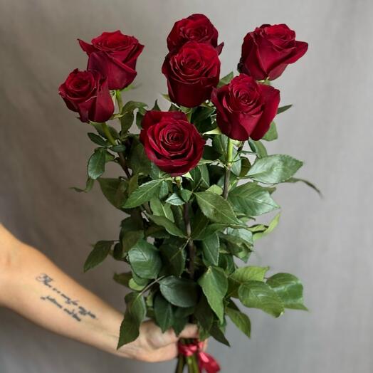 Роза эксплорер 90см -7шт