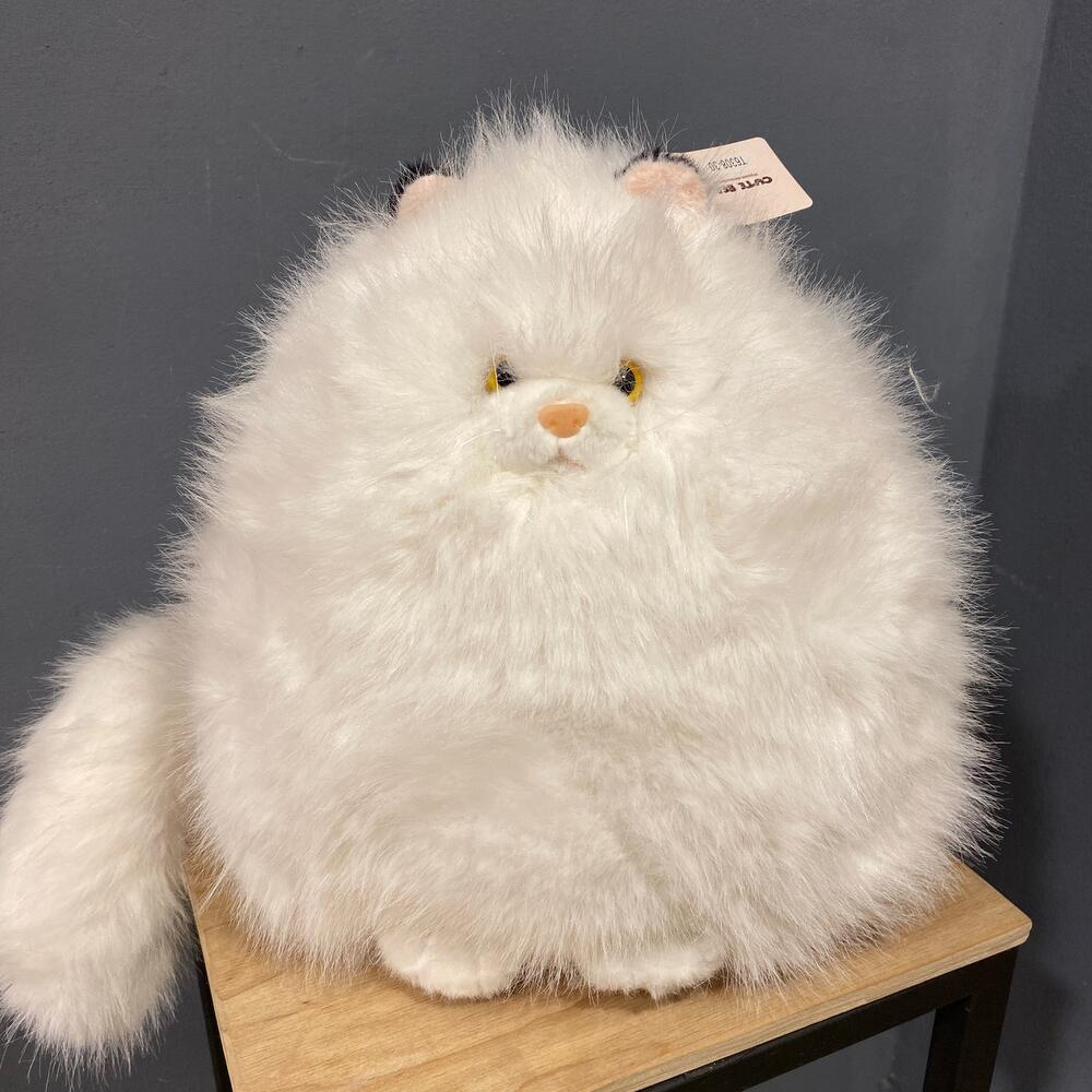 Пушистый белый котик