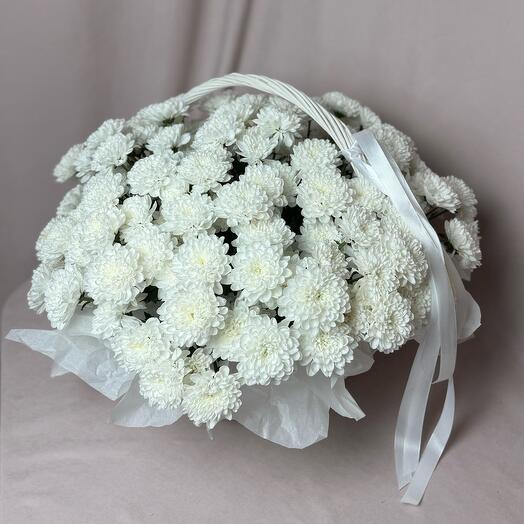 25 кустовых хризантем в корзине