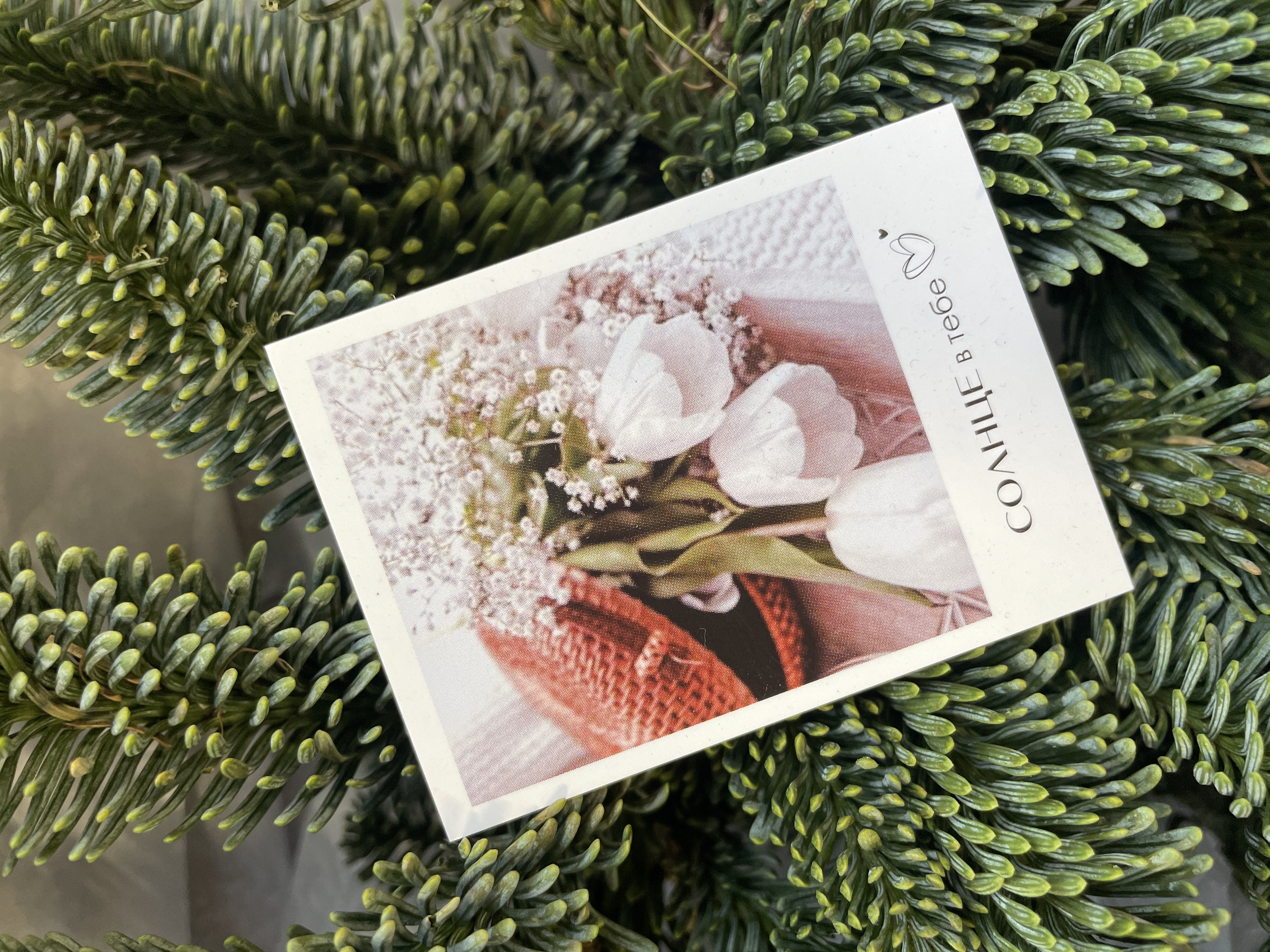 Открытка Солнце в тебе