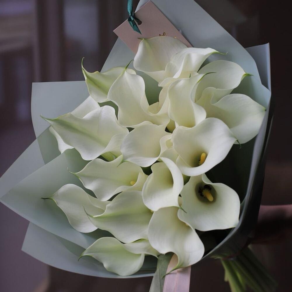 Букет из белых калл 15 шт