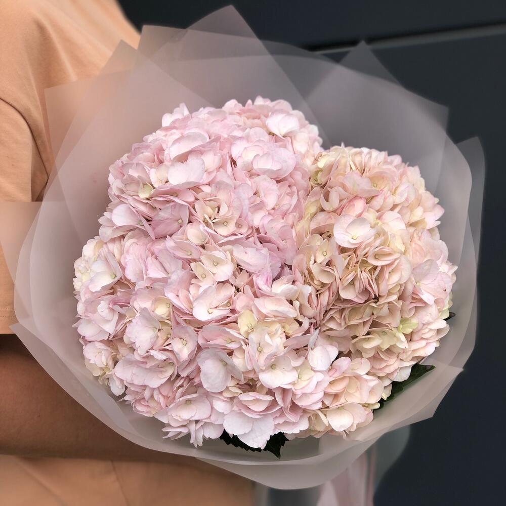 Букет с нежно- розовыми гортензиями 