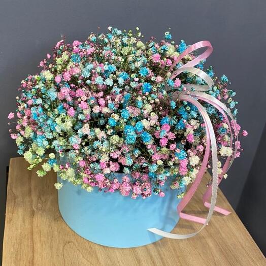 Гипсофила в коробке