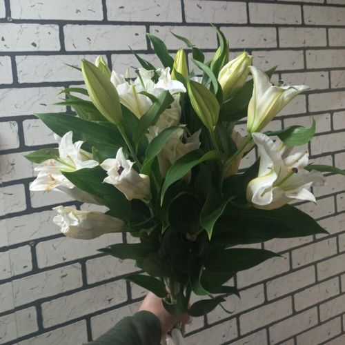 Монобукет белых лилий