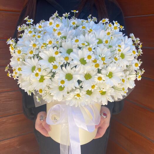 Ромашки в коробке