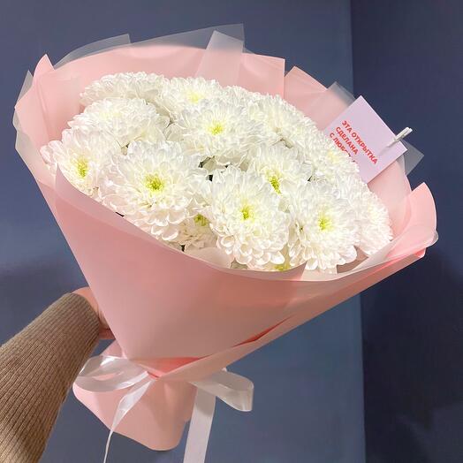 5 кустовых хризантем Алтай