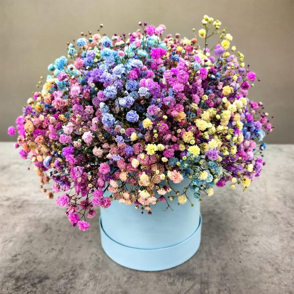 Радужная гипсофила в коробке для мамы (код 250)