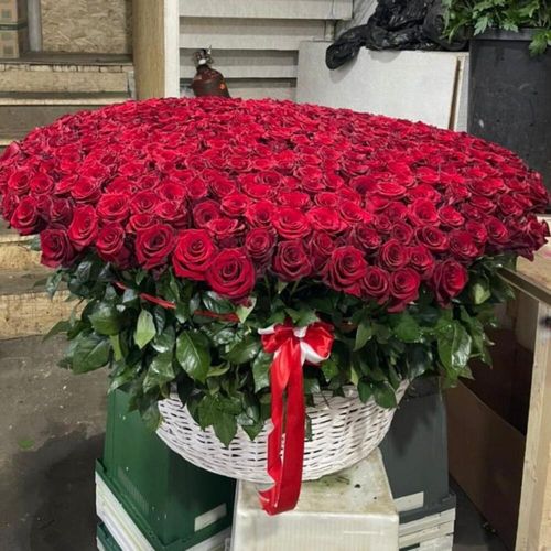 501 красная роза в корзине