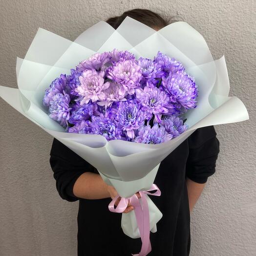 5 лавандовых махровых хризантем