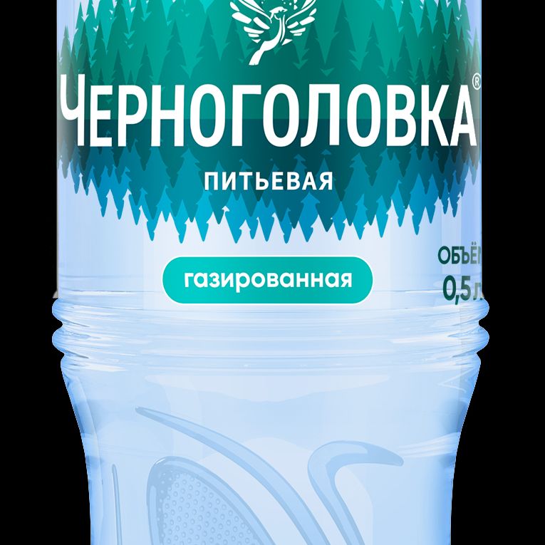 Вода «ЧЕРНОГОЛОВКА» газ.