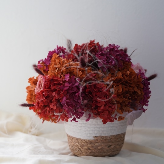 Композиция со стабилизированной гортензией