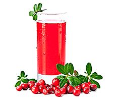 МОРС КЛЮКВЕННЫЙ