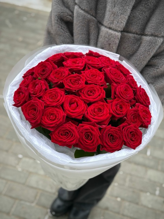 31 причина сказать «Да»