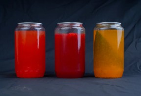 Сакура — жасмин