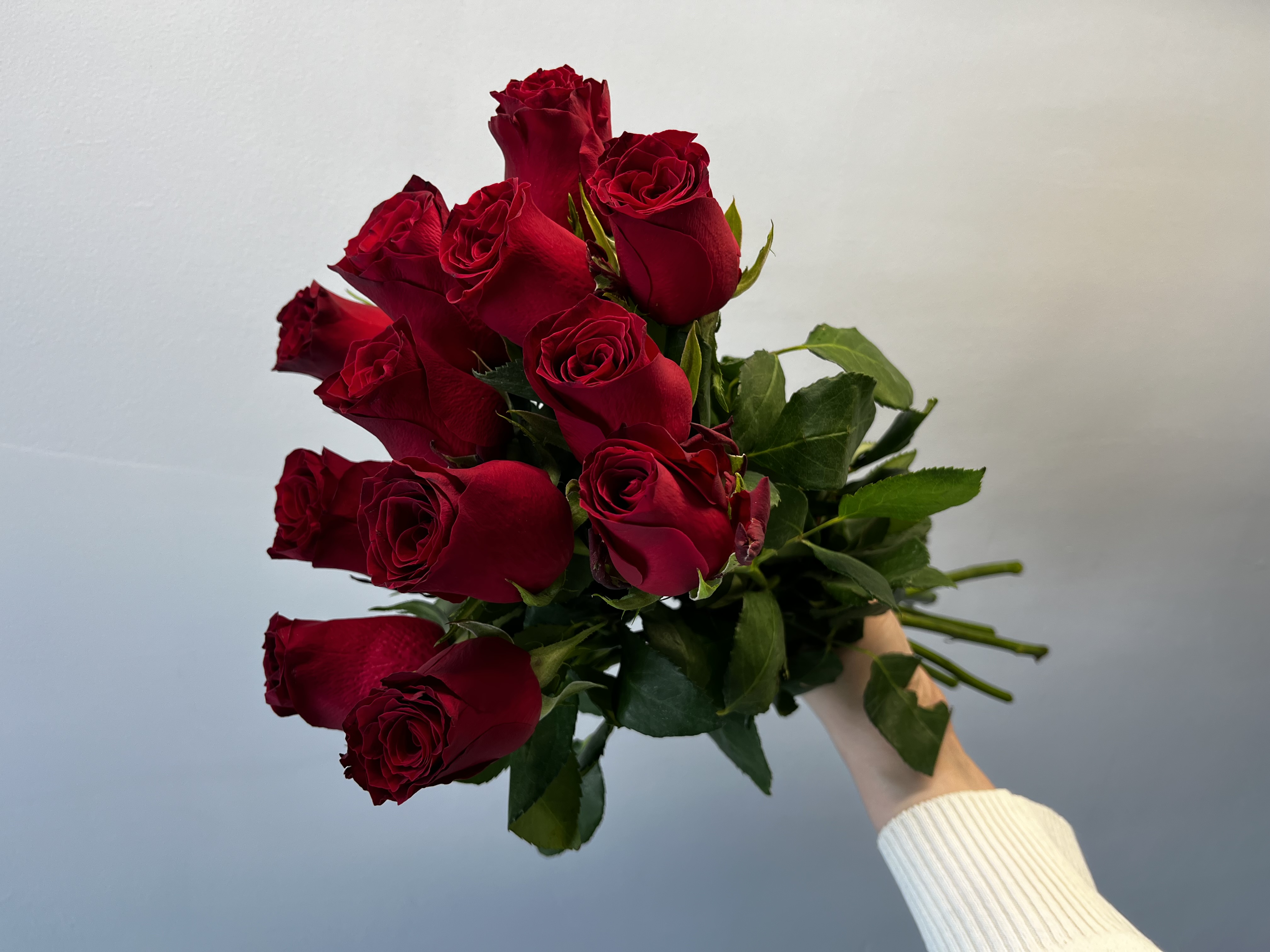 12 роз под черной лентой