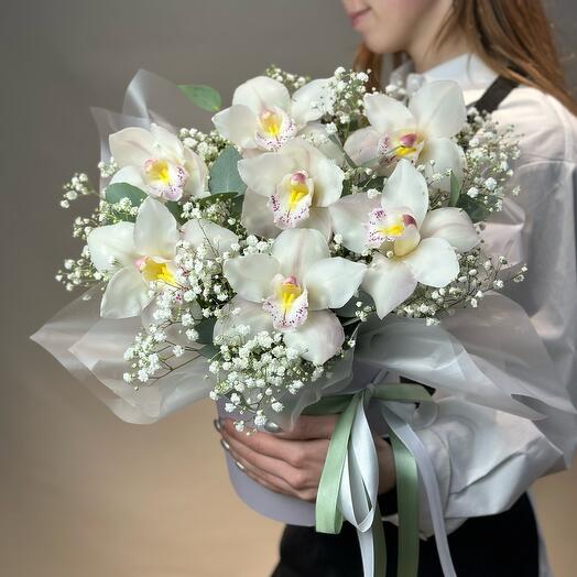 Нежная шляпная коробка из 7 белых орхидей и гипсофилы