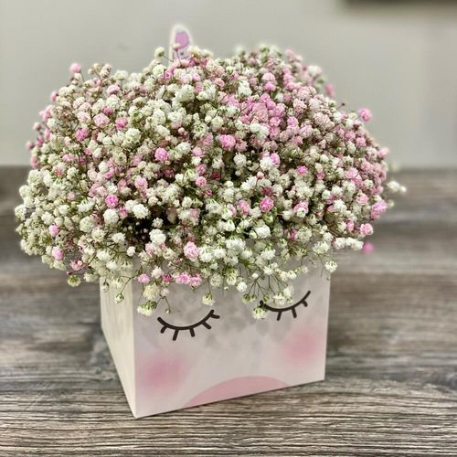 Букет Единорог из гипсофилы (к1846)