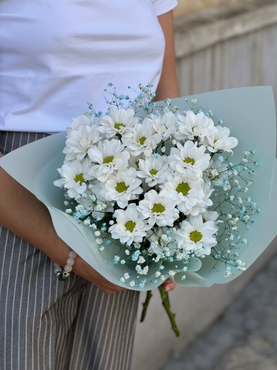 Лазурные ромашки