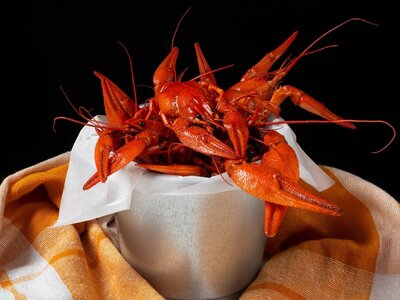 Отборные варёные раки с укропом и лимон.